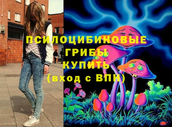 винт Михайловка