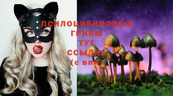 винт Михайловка