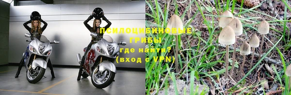 винт Михайловка