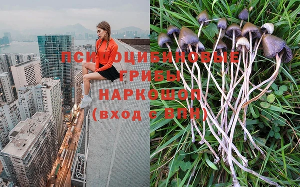 винт Михайловка