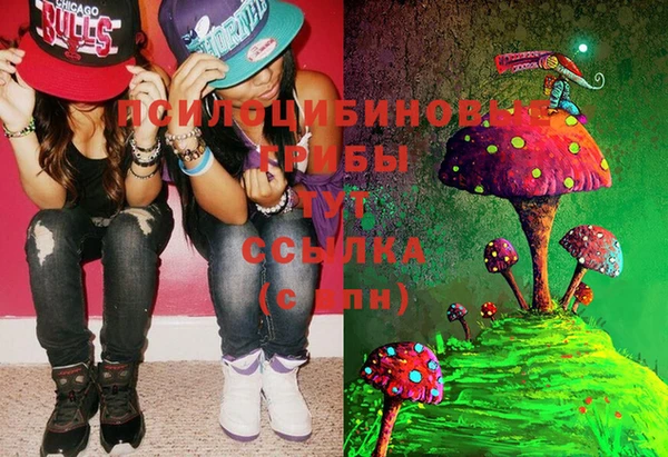 винт Михайловка