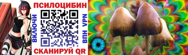 Галлюциногенные грибы мицелий  Купить  Альметьевск 